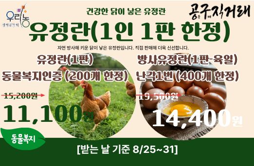 1305 1